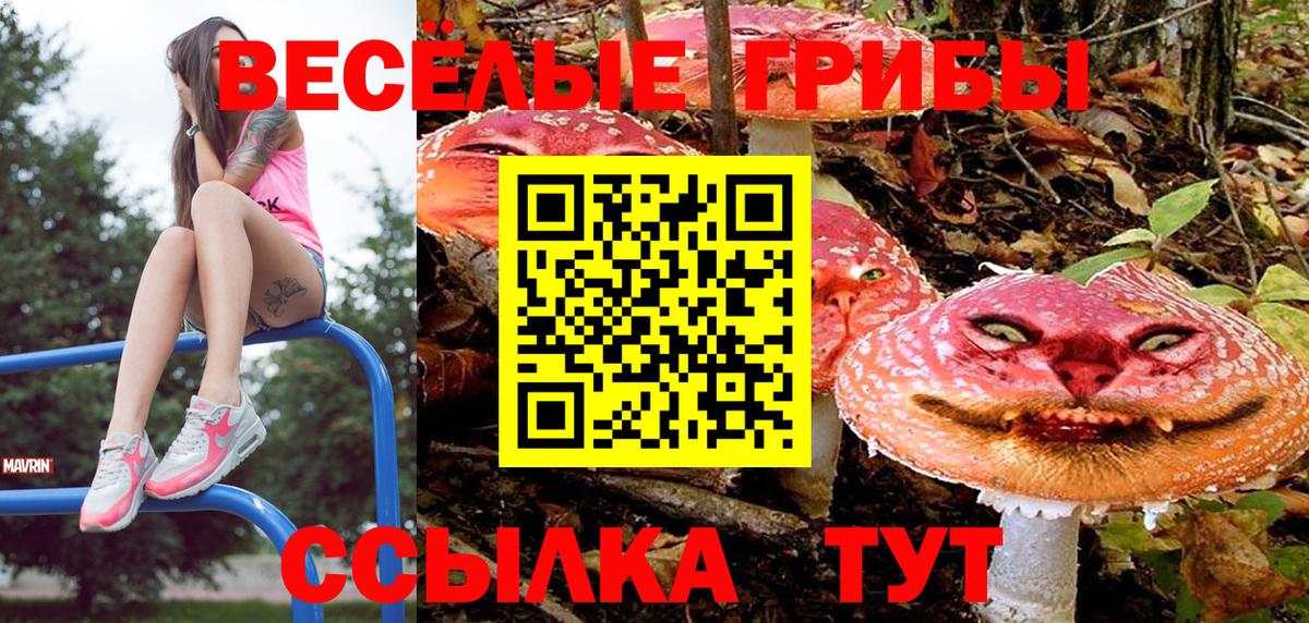 Выборг  Галлюциногенные грибы MAGIC MUSHROOMS  закладка  Вход с VPN  Галлюциногенные грибы MAGIC MUSHROOMS 