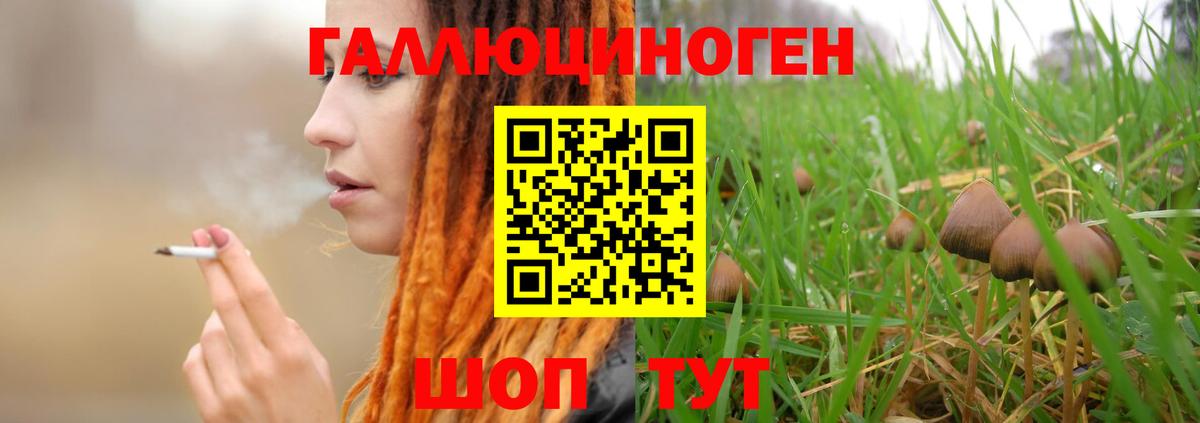 Галлюциногенные грибы Cubensis Выборг